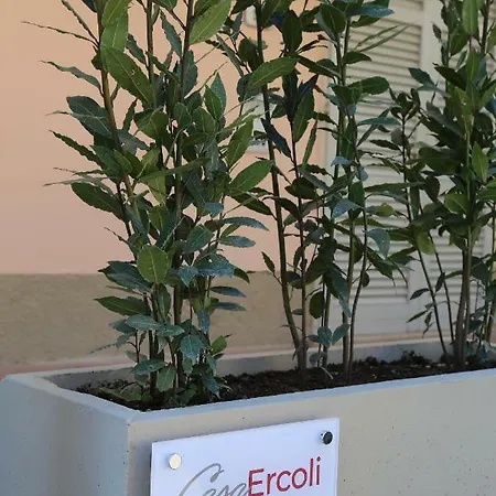 Casa Ercoli Boito
